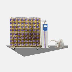 Individually ventilated cage (IVC)